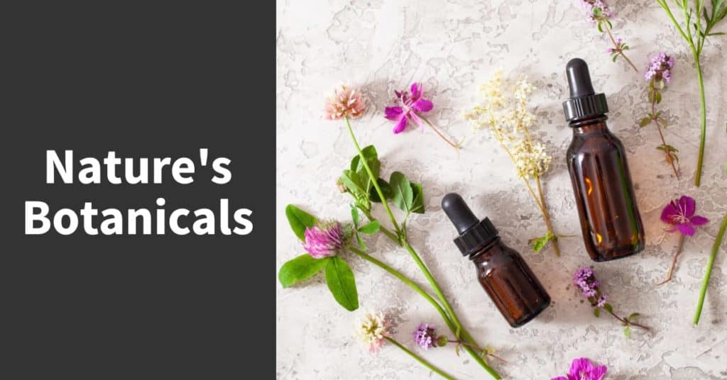 Medical flowers herbs essential oils in bottles. alternative med.