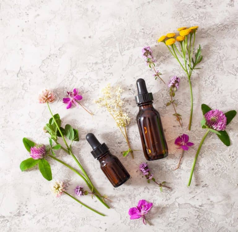 Medical flowers herbs essential oils in bottles. alternative med.